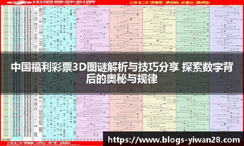 中国福利彩票3D图谜解析与技巧分享 探索数字背后的奥秘与规律