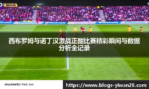 西布罗姆与诺丁汉激战正酣比赛精彩瞬间与数据分析全记录
