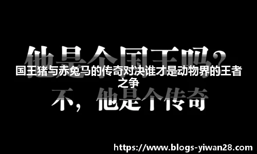 亿万28官网